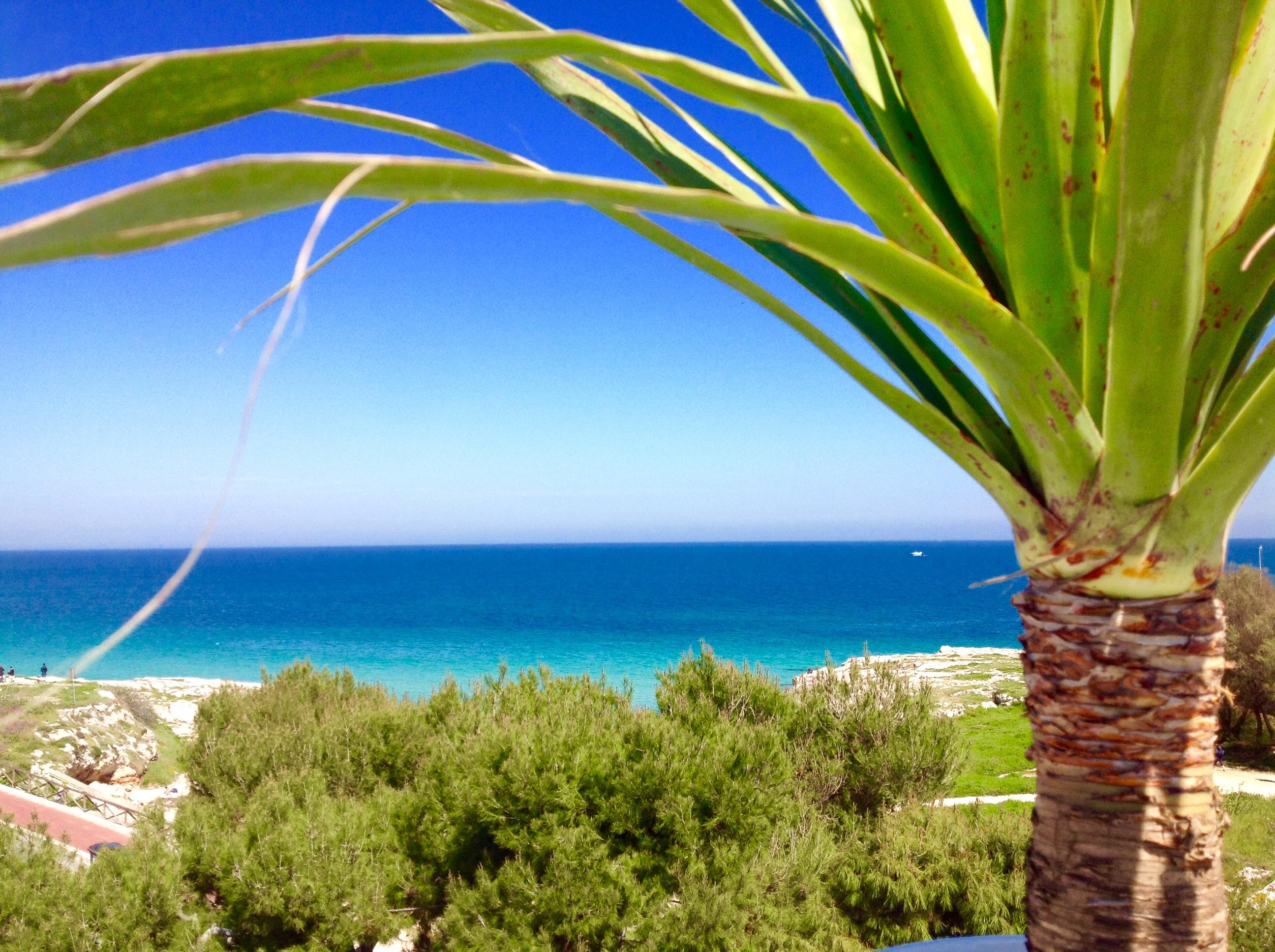 לינה וארוחת בוקר מונופולי Playa Del Mar - Adults Only מראה חיצוני תמונה