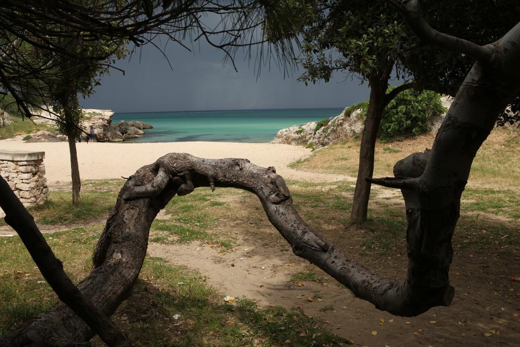לינה וארוחת בוקר מונופולי Playa Del Mar - Adults Only מראה חיצוני תמונה